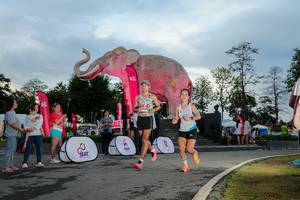 BIB: 
                            <button type="button" onclick="openModal(26529390)" class="btn btn-primary btn-sm float-right btn-popup" data-toggle="modal" data-target=".modal-high-quality">
                        <i class="fas fa-shopping-cart"></i> Add to Cart
                    </button>
                                            <button type="button" onclick="isThisMe(26529390, true)" class="btn btn-success btn-sm float-right btn-popup btn-isme hidden" data-toggle="tooltip" data-placement="bottom" title="นี่คือรูปของคุณใช่ไหม คลิกที่นี่เพื่อเอาเข้าอัลบั้ม">
                        <i class="fas fa-plus"></i> Add to album
                    </button>
                    <button type="button" onclick="isThisMe(26529390, false)" class="btn btn-warning btn-sm float-right btn-popup btn-isnotme hidden">
                        <i class="fas fa-ban"></i> Remove from album
                    </button>